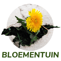 Bloementuin