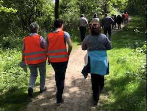 Iedere dinsdagochtend om 11:00 uur wandelen wandelcoaches van AB voor Elkaar met bewoners uit de wijk....