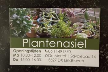 Plantenasiel