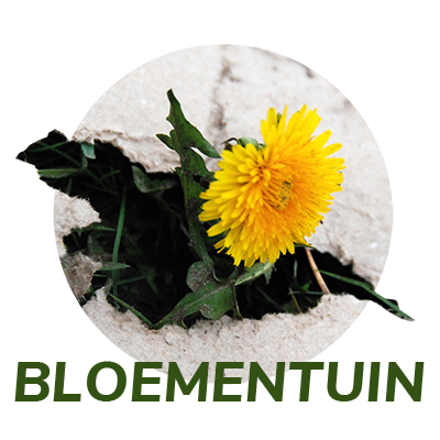 Ga je mee de bloemetjes buiten zetten?    Heb je de prachtige Bloementuin in het park al gezien? Niet? Dan...
