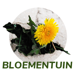 Bloementuin