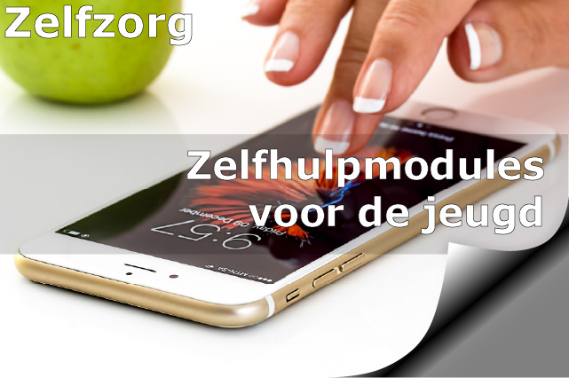 Zelfhulpmodules